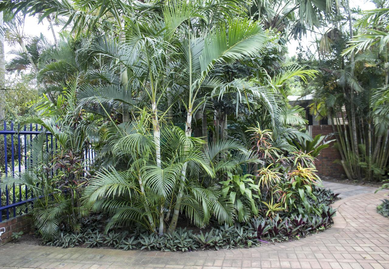Avalone Guest House Saint Lucia Estuary エクステリア 写真